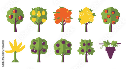 Fruit trees cartoon set illustration vector orchard fresh harvest season design