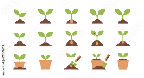 Seedlings and Sprouts Cartoon Icons Set Vector Illustration