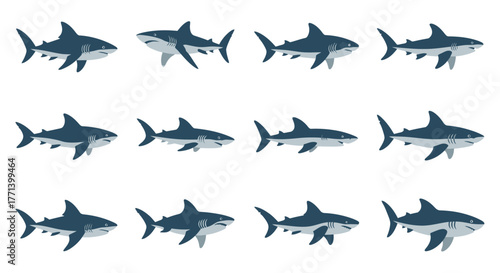 Seamless Pattern of Cartoon Sharks on a White Background for Kids Theme