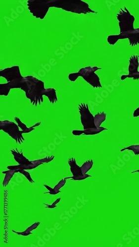 A flock of black birds flying across a bright green backdrop with motion