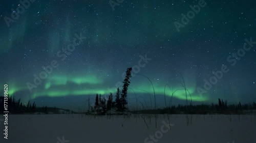 mystical allure of the Aurora Borealis in Norway, Canada, Finland, Iceland, and Sweden.
