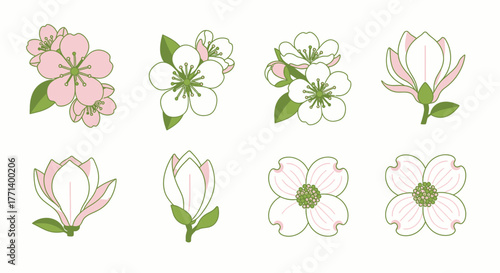 Various delicate flower collection of spring blossoms for design