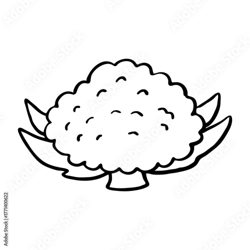 Cauliflower Line Art Icon