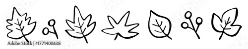 Hand Drawn Autumn Leaves and Berries Line Art