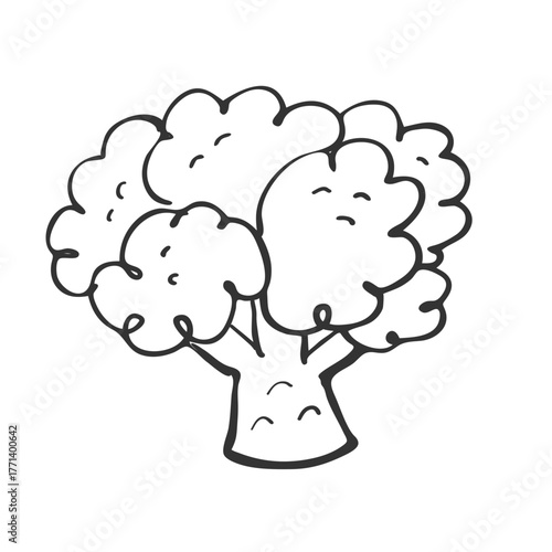 Hand Drawn Outline Broccoli. Hand Drawn Cauliflower.