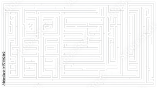 A complex rectangular maze with intricate pathways and a white background with thin white lines