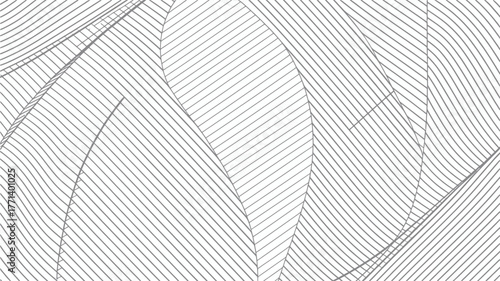 Abstract background featuring intersecting gray lines forming curved and angular shapes design