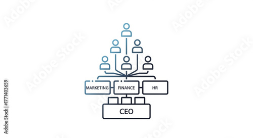 Company organizational chart ceo marketing finance hr structure hierarchy business management team leadership