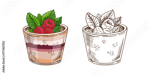 A hand-drawn vector sketch of yogurt with raspberries and mint. Yogurt cup isolated on a white background. Vintage illustration of fruit parfait. Berry dessert.