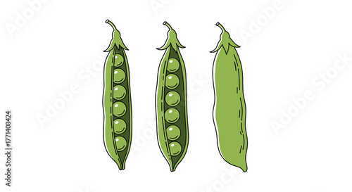 Three fresh green pea pods, two opened to show the peas inside and one still closed, on a white background.