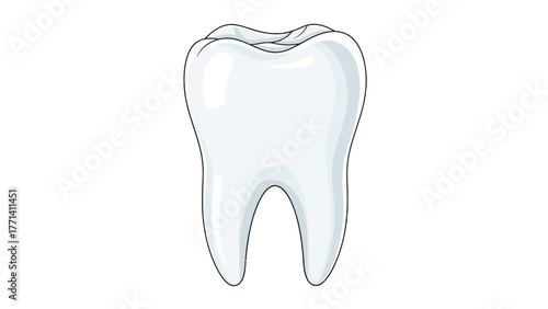 A white molar tooth with black outline on a white background