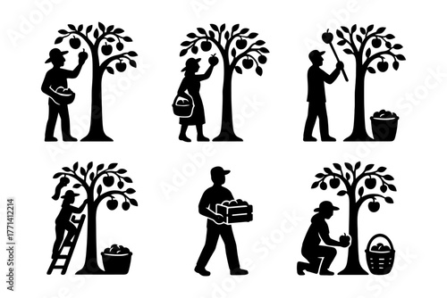 Fruit harvesting silhouettes icon, orchard, farmer, agriculture, nature, picking