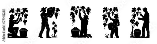 Vineyard worker silhouettes icon, grape harvest, agriculture, wine production, farming, nature work