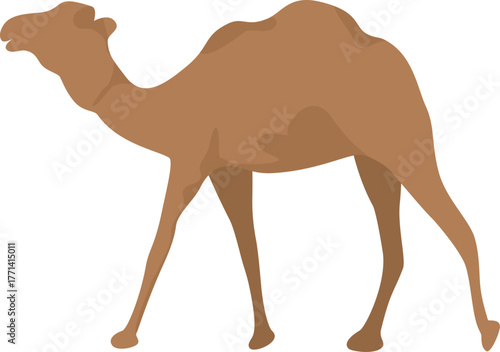 Faceless camel vector illustration