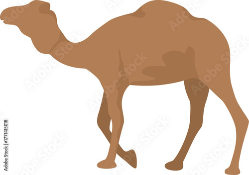 Faceless camel vector illustration
