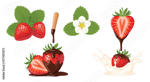 Various strawberry illustrations featuring fresh fruit, a delicate flower, and delicious chocolate-dipped berries with a creamy milk splash.