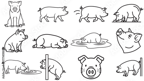 Pig Poses Line Art Collection — Sows, Boars and Piglets in Minimal Black for Farm Education, Butcher Icons, and Rural Packaging