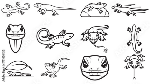 Lizard Poses Line Art Board — Gecko, Iguana, and Skink Silhouettes in Clean Black for Stickers, Logos, Tattoos, and Wildlife Vector Projects