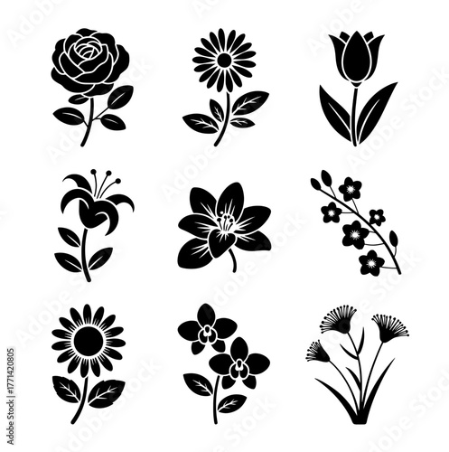 Collection of elegant flower silhouettes, featuring rose, daisy, tulip, lily, orchid, and other blossoms, perfect for botanical designs and floral arrangements