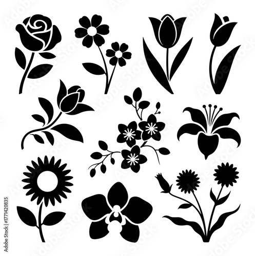 Collection of elegant flower silhouettes, featuring rose, daisy, tulip, lily, orchid, and other blossoms, perfect for botanical designs and floral arrangements