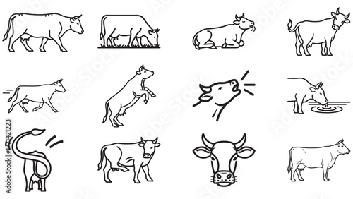 Collection of twelve black and white line art illustrations featuring cows in various poses and activities, including walking, grazing, mooing, and running.