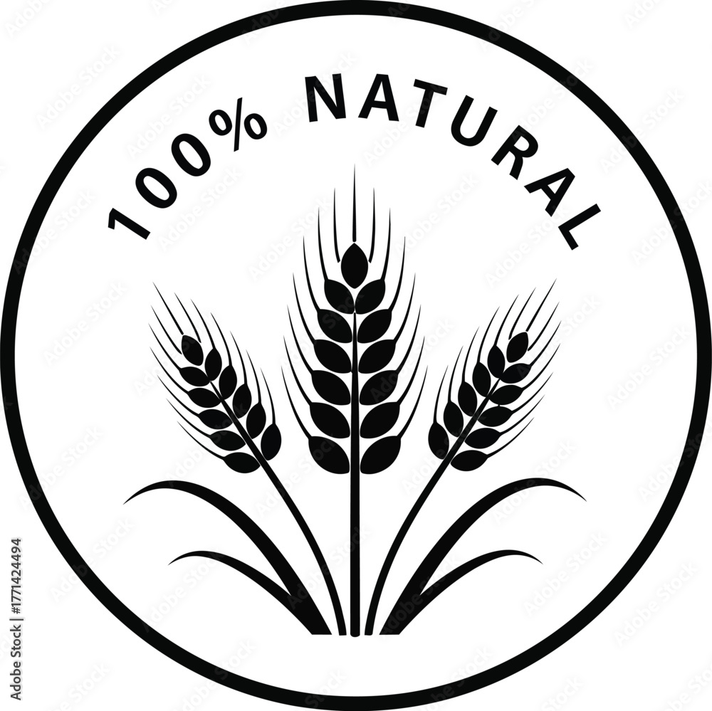 Obraz premium vector illustration of wheat