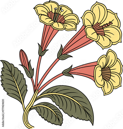 Botanical illustration of a flowering plant with three vibrant pink blossoms and lush green leaves White background
