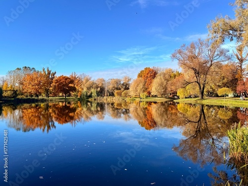 Fantastic vivid and colorful autumn trees reflection on the pure blue lake water, clear blue sky, beautiful golden fall