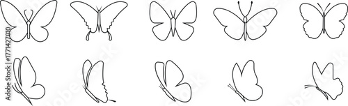 Butterfly icons set, insect collection, black silhouette and outline group, line style vector illustration, flying moth design, decorative butterfly symbol graphic element.