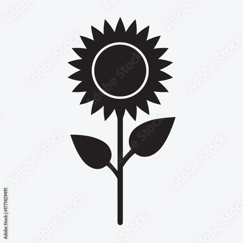 sunflower vector illustration