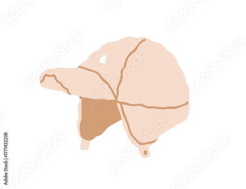 Warm winter cap for cold season. Fluffy furry woolen head wear accessory. Wool headwear with visor and earflaps. Woolly headgear with ear flaps. Flat vector illustration isolated on white background