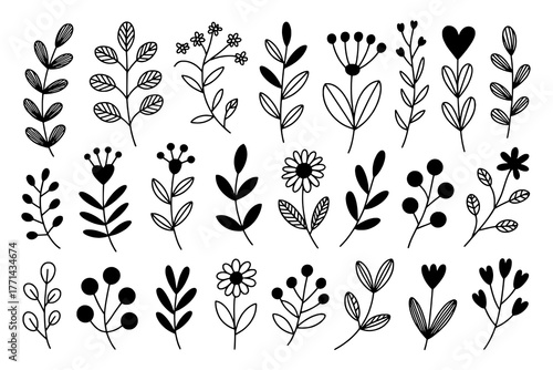 Collection of 24 Hand-Drawn Black and White Botanical and Floral Elements with Outline and Solid Styles