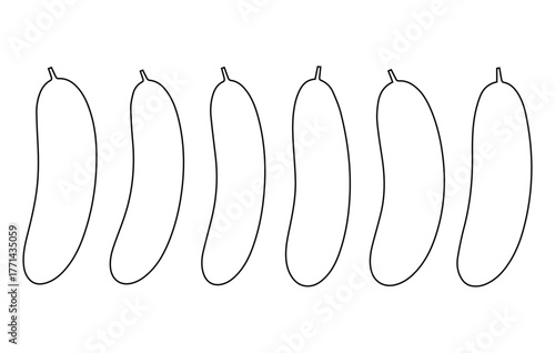 Cucumber Outline Vector Icons Set