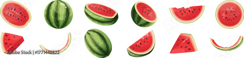 Red and green watercolor watermelon vector illustration on abstract background