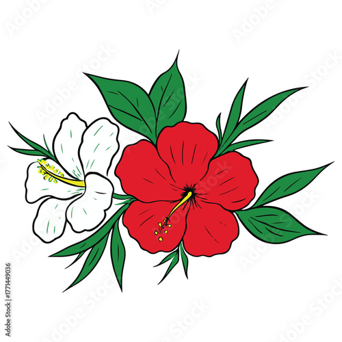 Colorful Hibiscus Flower Art – Tropical Botanical Illustration for Decor & Design