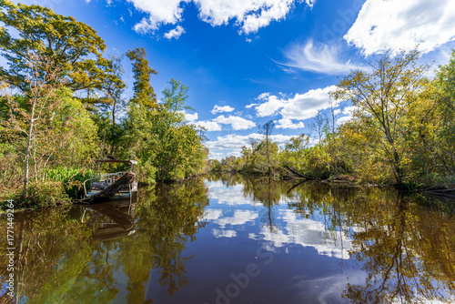 Bayou scenery of South Louisiana, USA