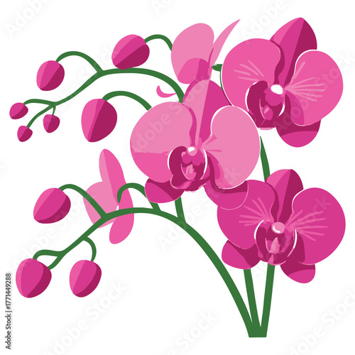 Vibrant Pink Orchid Illustration – Botanical Art for Decor, Study & Design