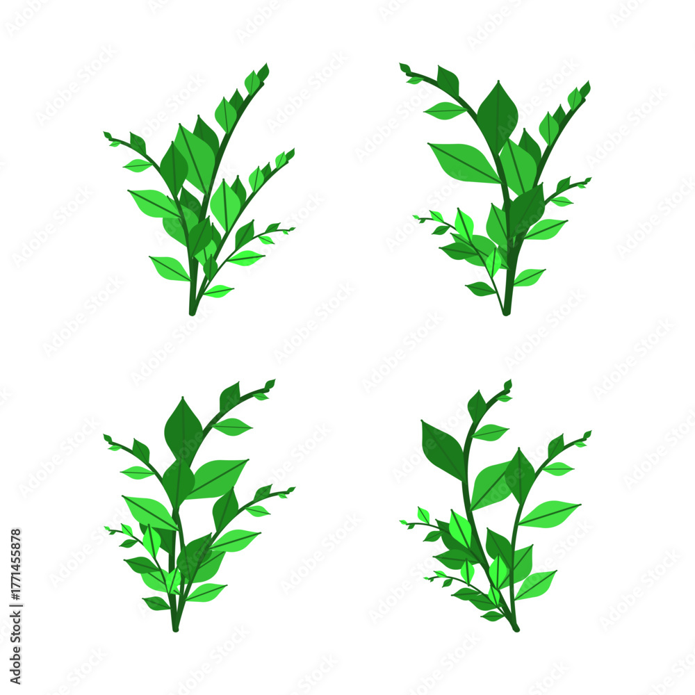 Fototapeta premium Collection of various illustrations of foliage plants