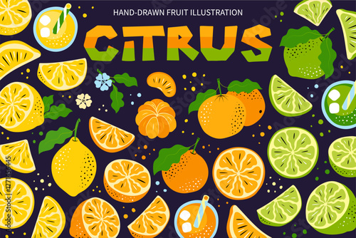 Hand-Drawn Citrus Vector Design Set. Matisse-Inspired Abstract Fruit Illustrations, Elements