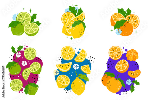 Hand-drawn Citrus Compositions Vector Set. Orange, Lemon, and Lime Fruits
