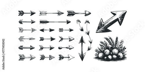 Collection of Hand Drawn Arrows and Botanical Elements