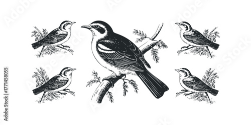 Vintage bird family perched on branches