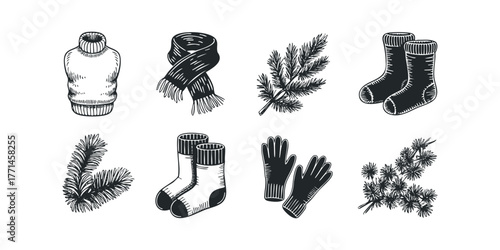 Winter Clothing and Pine Branches Collection