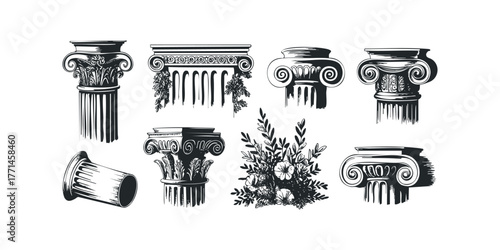 Collection of classical column capitals and floral sprigs