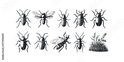 Collection of Insect Silhouettes with Plant Detail