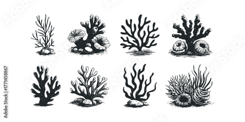 Collection of hand-drawn ocean flora and fauna