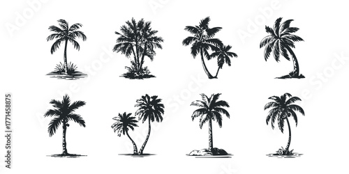 Collection of Silhouette Palm Trees on White Background