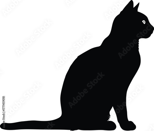 Black cat silhouette sitting profile