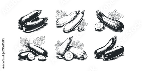 Set of hand drawn zucchini and eggplant with leaves and slices