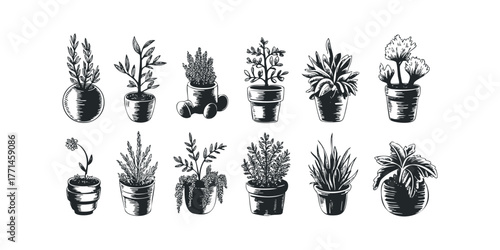 Collection of Hand Drawn Potted Plant Silhouettes